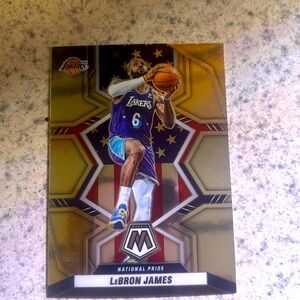 LeBron James, 2021 Panini- Mosaic # 246, National Pride, MINT